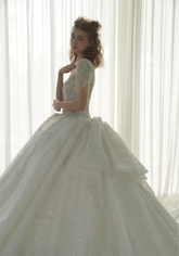 Luminous Ball Gown Illusion Neck Tulle Wedding Dress with Crystal Beaded Embroidery & Bow Back Train Q-6023