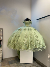 Green Quinceanera Dresses 3D Flowers Applique Ball Gown Sweet 16 Dress Y2984