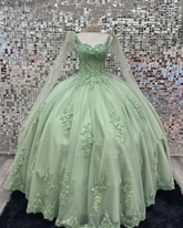 Sage Green Quinceanera Dresses,Lace Sweet 16 Dresses Appliques,Sage Green Ball Gown Y2263