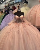 Tulle Appliques Long Sleeve Quinceanera Dress,Ball Gown,Sweet 16 Dress Y5461