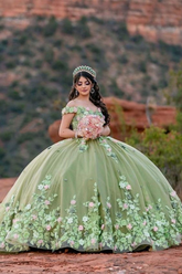 Light Sage Green Quinceanera Dresses Sweet 16 Pageant Floral Ball Gown Y2063