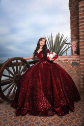 Off The Shoulder Burgundy Sequins Ball Gown,Sweet 16 Dress,Quinceanera Dress Y2203