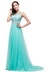 A-line Court Train Tulle Evening Dress with Appliques