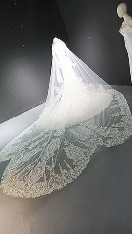 V-neck long sleeved luxurious nail bead trailing bridal veil