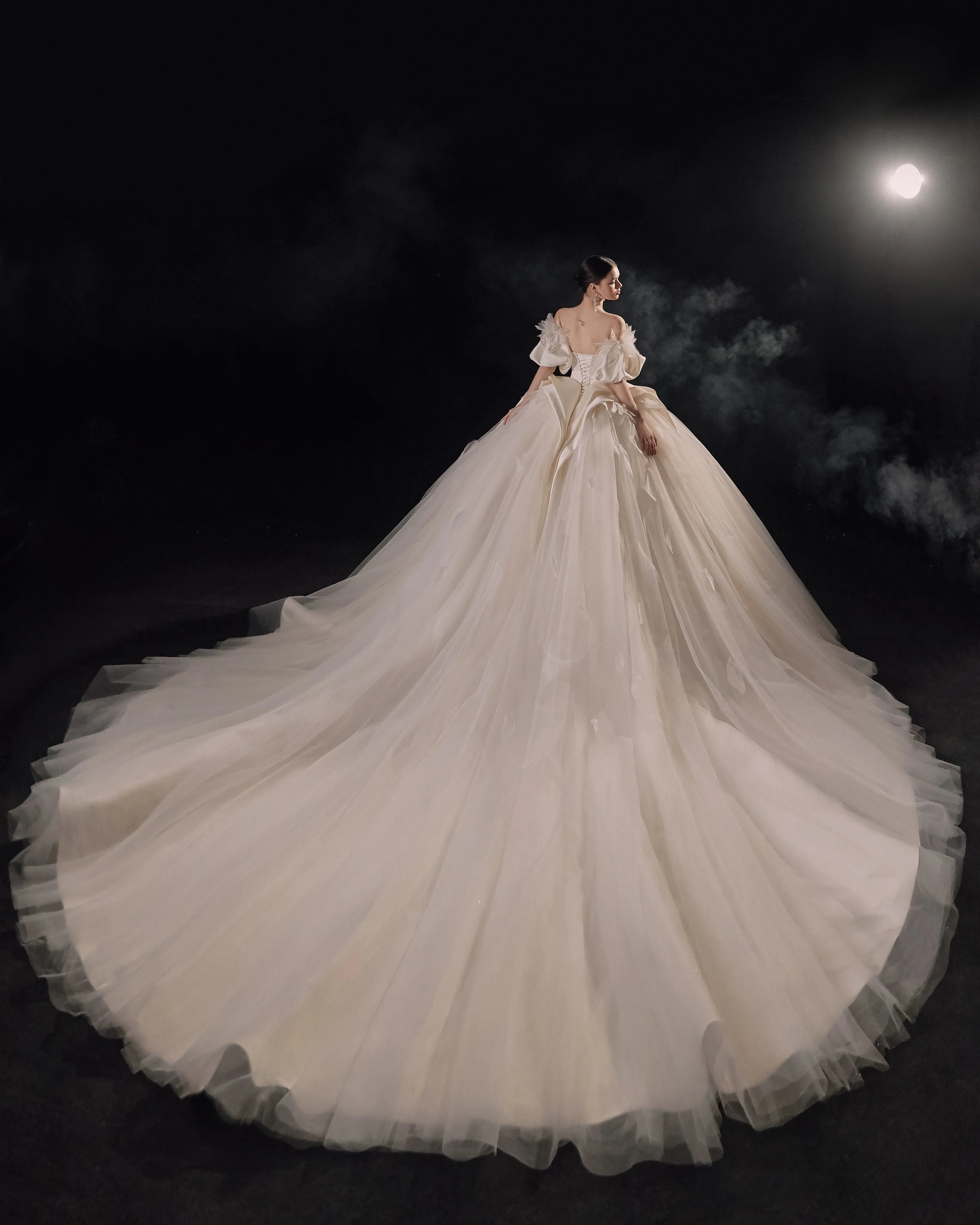 Lavish Sweetheart Ball Gown Satin Puff Sleeve Feather Trim Beaded Wedding Dress with Flowing Train E-302 by ZAPDRESS