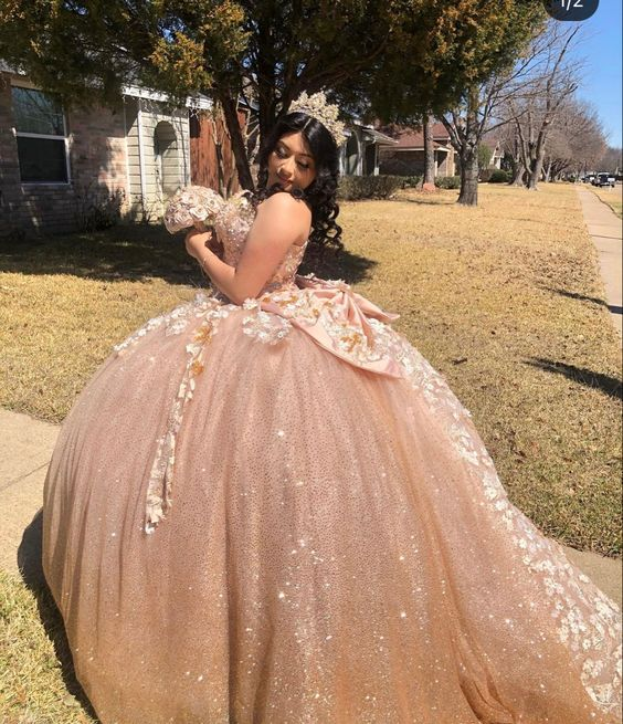 Sparkly Quinceanera Dress Ball Gown Sweet 16 Dress Y6519 Hover Image