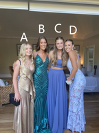 Different Style Prom Dress Evening Dress Gala Dress Y5473