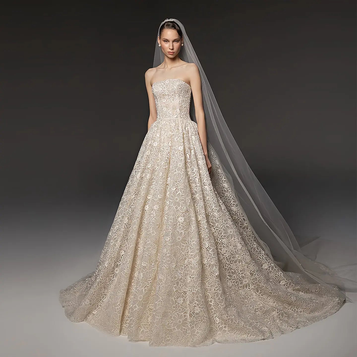 Regal Champagne Strapless Allover Lace Ball Gown Wedding Dress with Veil SW667