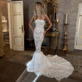 Elegant White Strapless Sheer Lace Mermaid Wedding Dress with Neckwear SW223