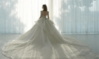 Dazzling Ball Gown Deep V-Neck Tulle Wedding Dress with Beaded Embroidery & Illusion Cut-Out Back Q-6022 by ZAPDRESS