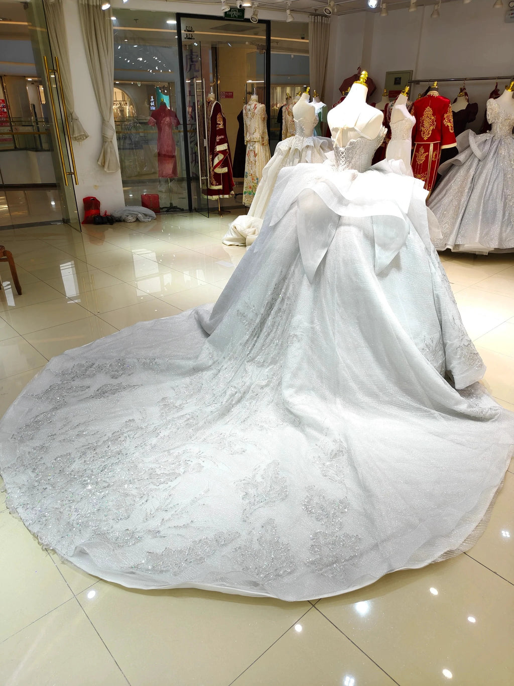 Silver Haze Strapless Ballgown: Gilded Beaded Bust & Ruffled Train by ZAPDRESS