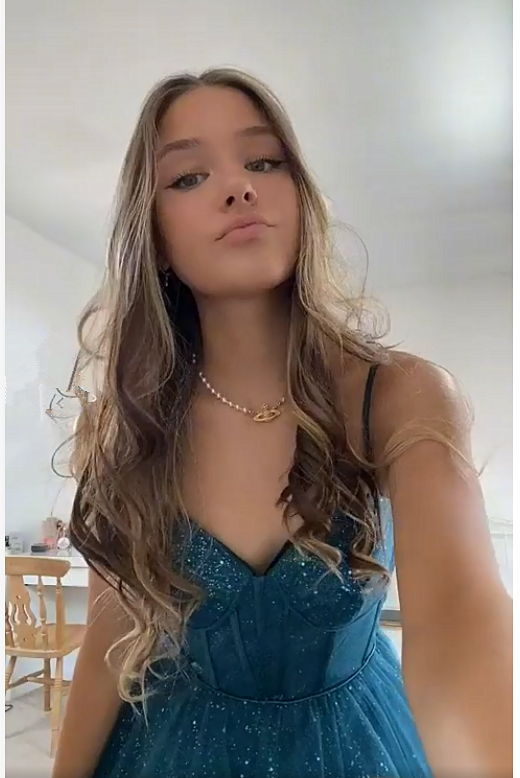 A-line Spaghetti Straps Glitter Tulle Prom Dress Chic Evening Dress Y406 Main Image