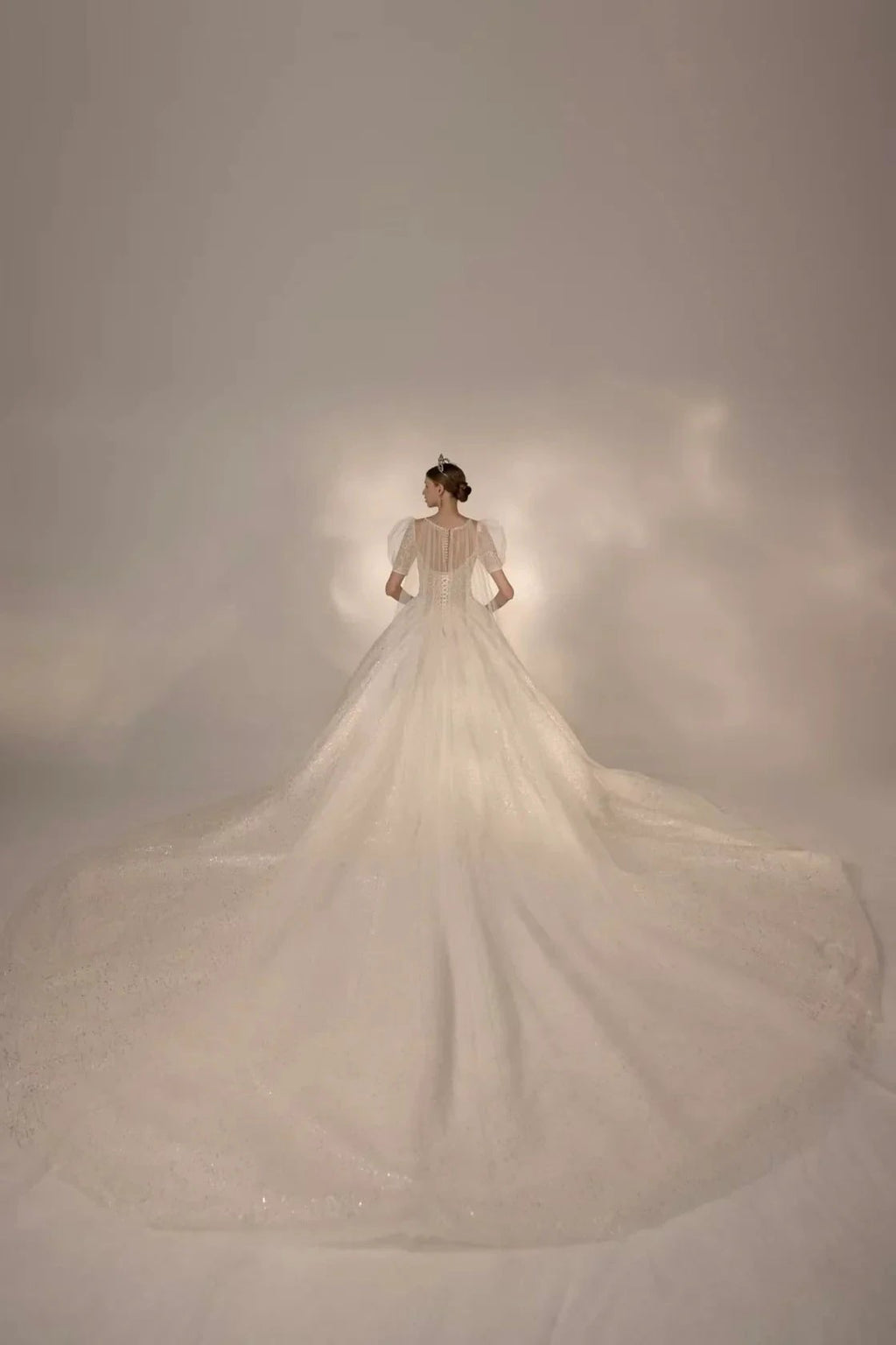 Sparkling Ball Gown Sweetheart Neck Tulle Wedding Dress with Beaded Embroidery & Sheer Puff Sleeves Q6021 by ZAPDRESS