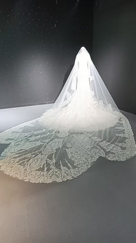 V-neck long sleeved luxurious nail bead trailing bridal veil