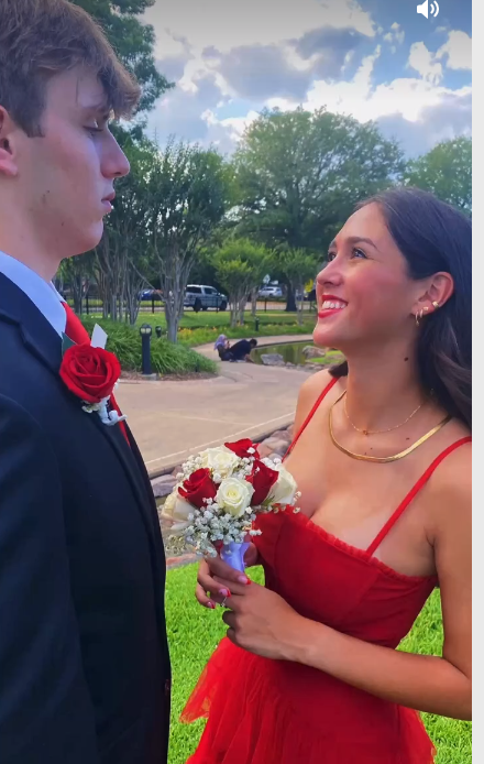 A-line Spaghetti Straps Tulle Prom Dress Elegant Evening Gown Y115 Hover Image