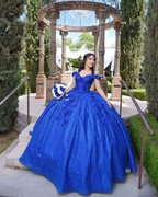 Bling Sequin Sweet 16 Quinceanera Dresses with 3D Applique,New Arrival Ball Gown Y1228 by simplepromdress