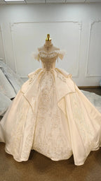 Champagne Glimmer Off-Shoulder Ballgown Crystal-Embroidered Skirt & Fringed Collar by ZAPDRESS