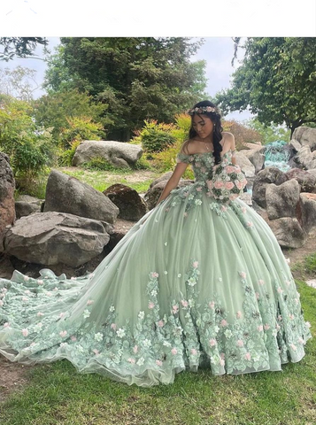 Vestido de quinceañera de lujo verde princesa con hombros descubiertos y apliques de flores 3D Y4147