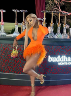 Orange Sexy Deep V Neck Feathers Homecoming Dress Long Sleeves Women Party Dress Y4447 by simplepromdress
