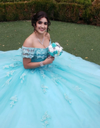 Off The Shoulder Lace Tulle Ball Gown Princess Dress Y3087 by simplepromdress