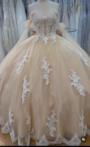 A-Linie Spitze Tüll Ballkleid Sweet 16 Kleid Y4013
