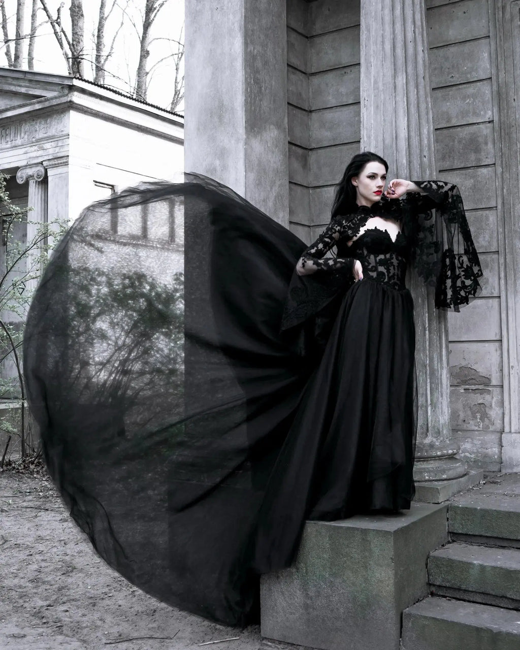 Black Luxury Gothic  Wedding Dress Sheer Lace Ball Gown  SW560