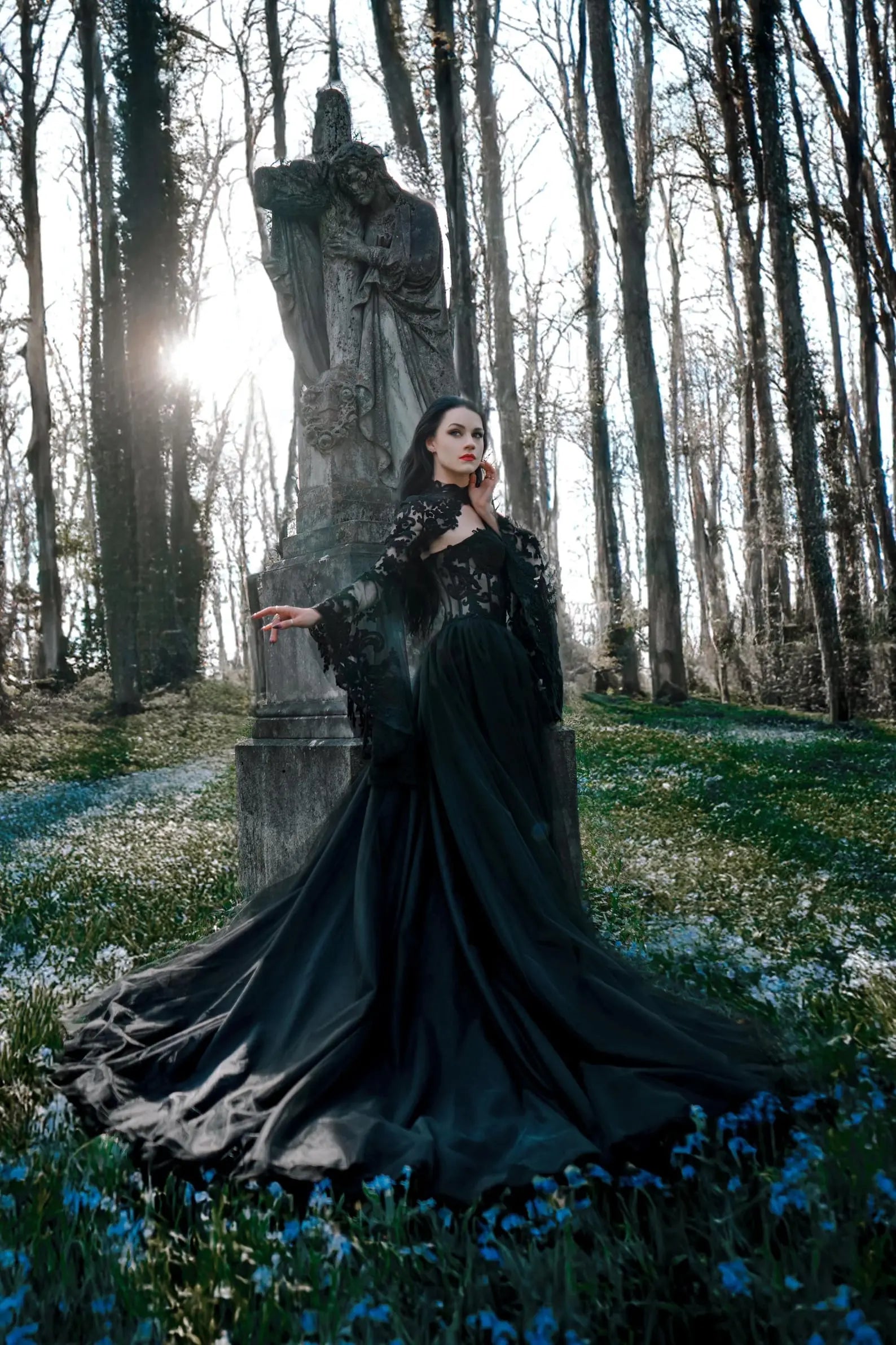 Black Luxury Gothic  Wedding Dress Sheer Lace Ball Gown  SW560
