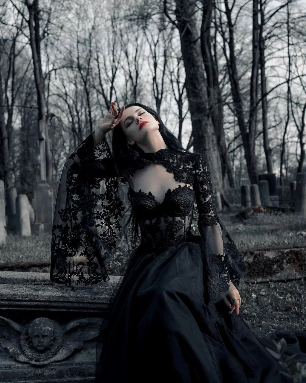 Black Luxury Gothic  Wedding Dress Sheer Lace Ball Gown  SW560