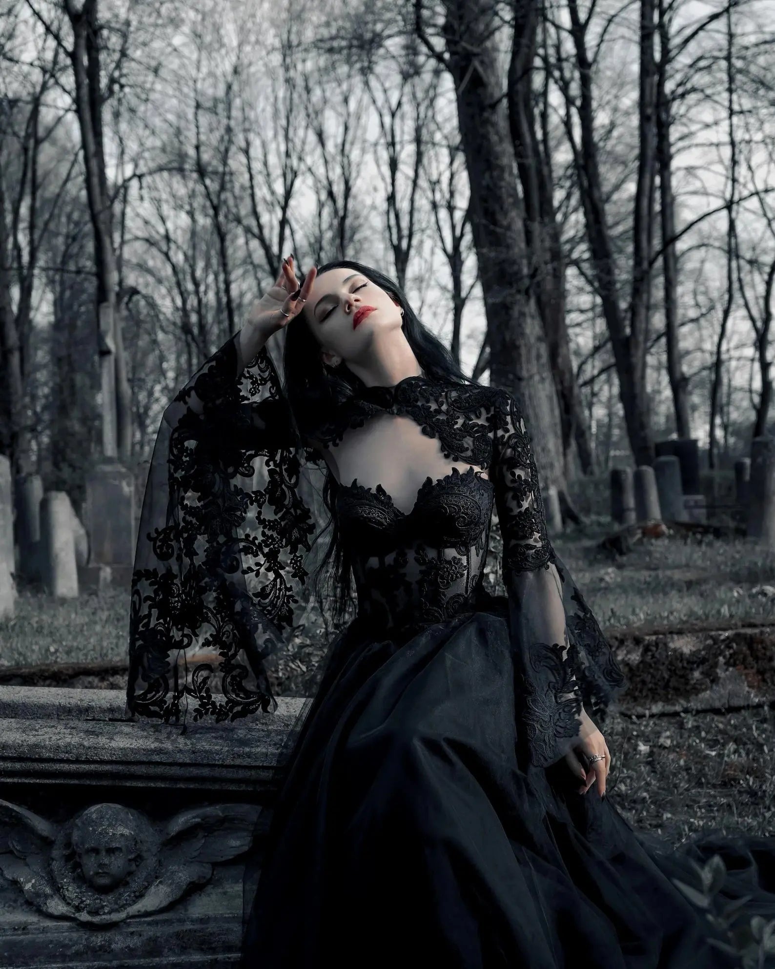 Black Luxury Gothic  Wedding Dress Sheer Lace Ball Gown  SW560