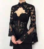 Black Luxury Gothic  Wedding Dress Sheer Lace Mermaid  SW562