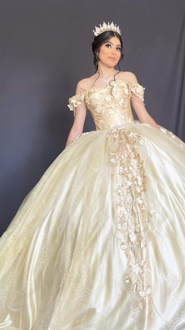 Vestido de fiesta encantador con apliques y hombros descubiertos para quinceañeras Y2596