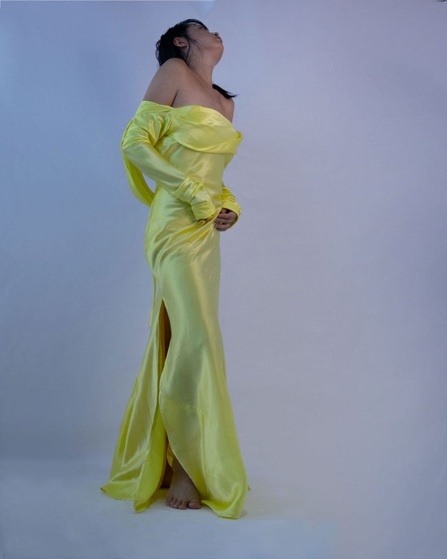 100% Mulberry Silk Sachi Dress Gown Main Image