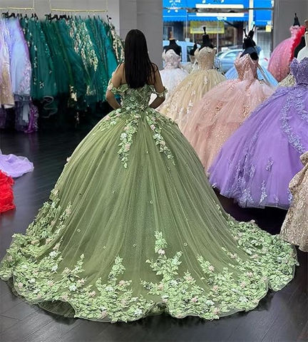 Vestido de quinceañera de lujo verde princesa con hombros descubiertos y apliques de flores 3D Y4147
