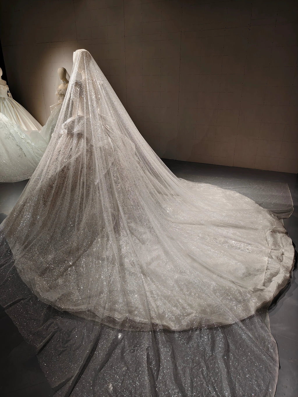 Stardust Cathedral Veil Gown by ZAPDRESS