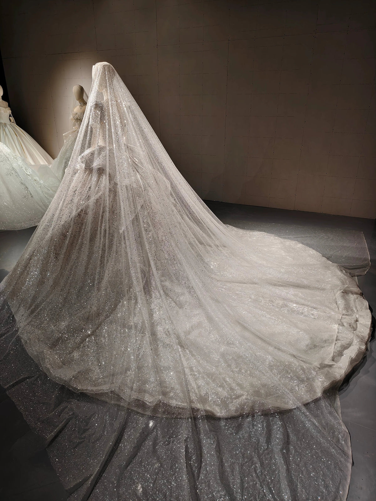 Stardust Cathedral Veil Gown by ZAPDRESS