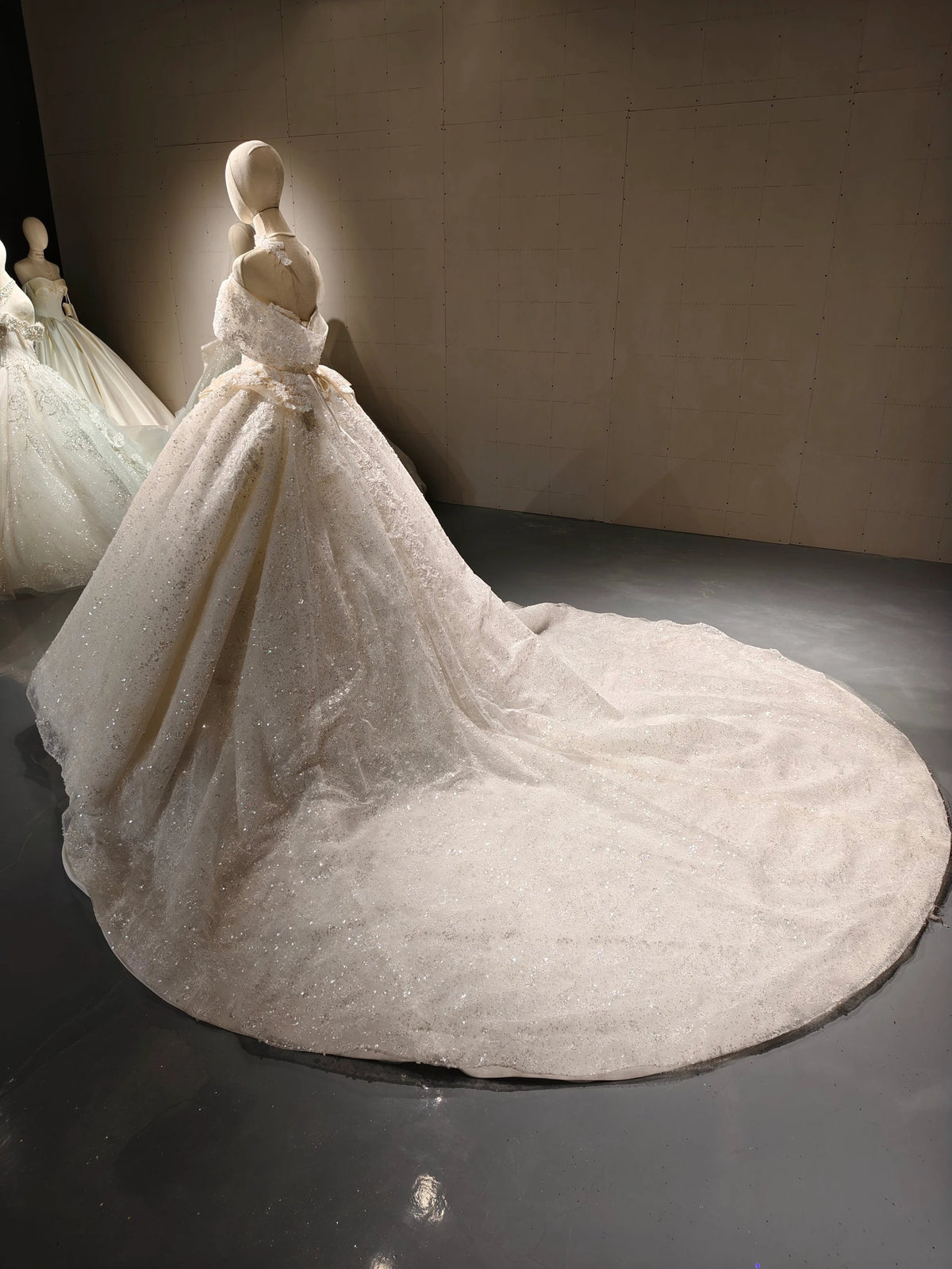 Lace Bow Stardust Ballgown by ZAPDRESS