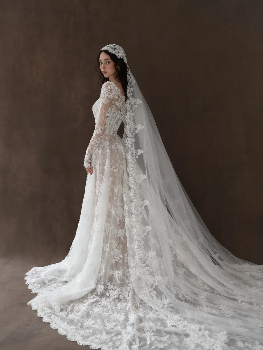 Whimsical Ivory Lace V-Neck Long Sleeve Wedding Dress with Veil SW276
