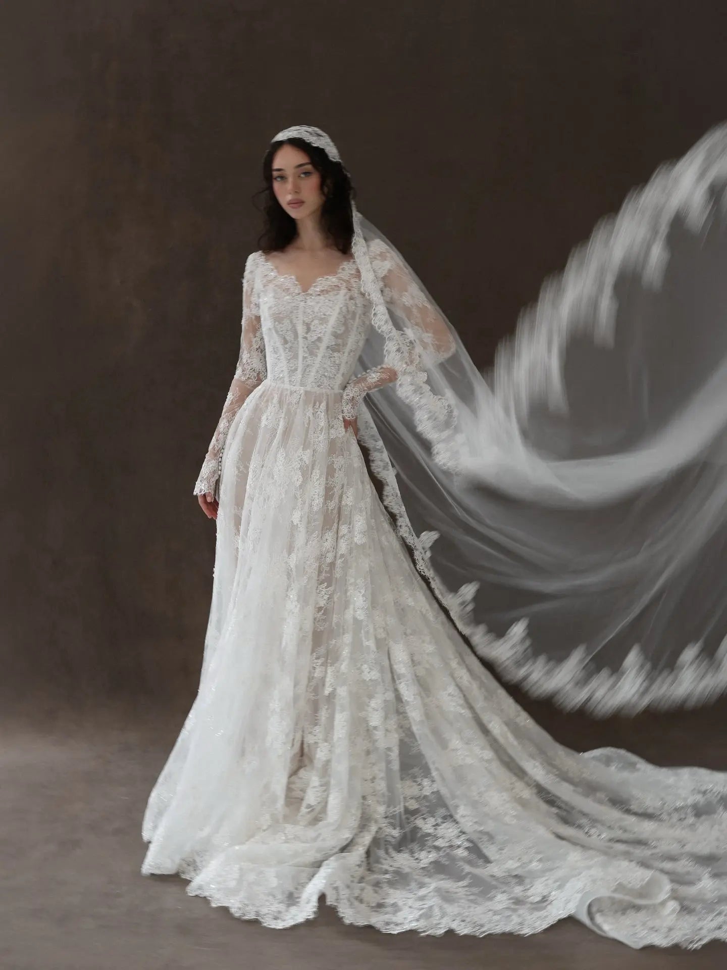 Whimsical Ivory Lace V-Neck Long Sleeve Wedding Dress with Veil SW276