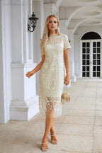 Ladies embroidery short-sleeved Chinese style short evening dress party wedding shopping evening dress SY28105