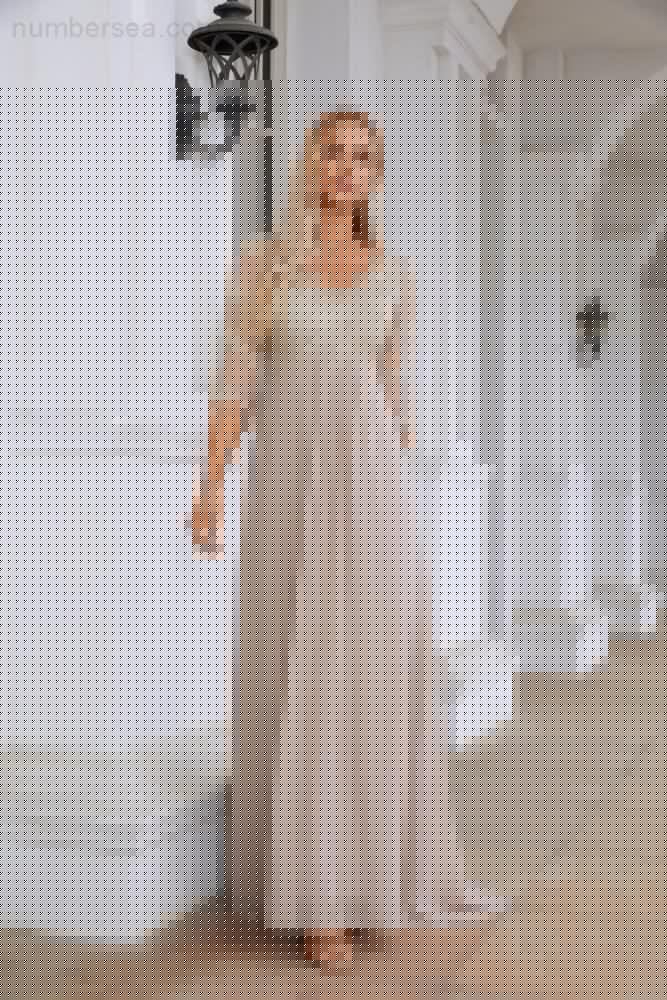 Women Chiffon V Neck Long Half Sleeves Mother of Bride Dress Wedding Wedding Party SY28108 by numbersea