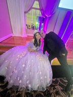 Stunning Tulle Appliques Ball Gown,Princess Dress,Sweet 16 Dress Y6758 by simplepromdress