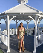 Champagne Straps Long Prom Dress,Sexy Champagne Evening Dress Y1897