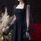 Elegant black dress with sheer tulle sleeves, modeled indoors, ZAPDRESS fashion style
