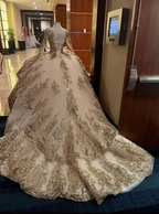 Luxurious Glitter Long Sleeve Dresses Romantic Appliqued Tulle Ball Gowns Y443 by simplepromdress
