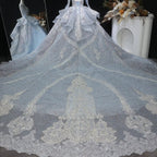 Luxury Blue Sequin Embroidery Ball Gown Wedding Dress SW607