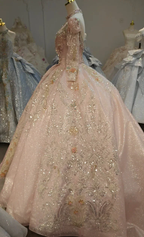 Lavish Blush Pink High-Neck Ball Gown Wedding Dress with Beaded Fringe & 3D Floral Embroidery Ye-2026 by ZAPDRESS