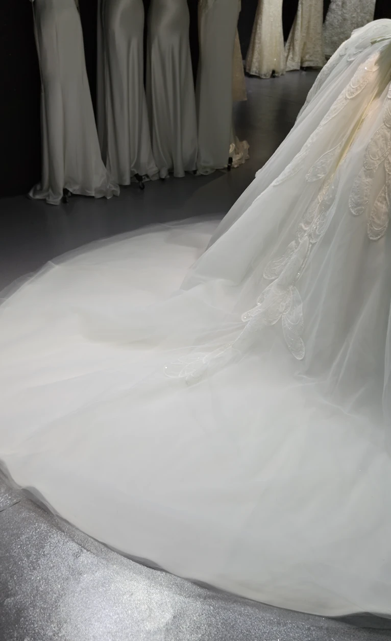 Feather Wing Ballgown by ZAPDRESS