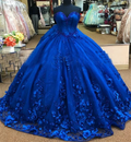 Royal Blue Princess Dress Royal Blue Quinceanera Dress With 3D Flowers Stunning Ball Gown Y281 by simplepromdress