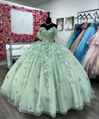 Sage Green Quinceanera Dresses With 3D Flowers Sweet 15 Birthday Ball Gown Y2614 by simplepromdress