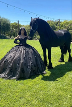 Black Off The Shoulder Ball Gown,Sweet 16 Dress,Quinceanera Dress Y5299 by simplepromdress